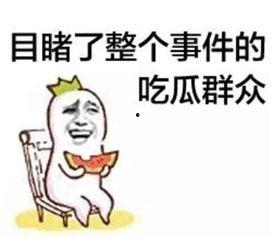 娱乐爆笑吃瓜视频合集下载,让你笑到肚子疼